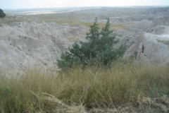 Ark Redemption Tour 2009 by Jerry