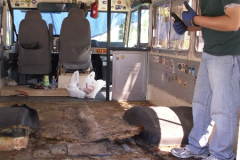 Ark Construction Phase II