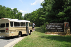 Ark Reconstruction Tour 2008